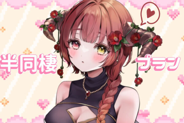 半同棲プラン