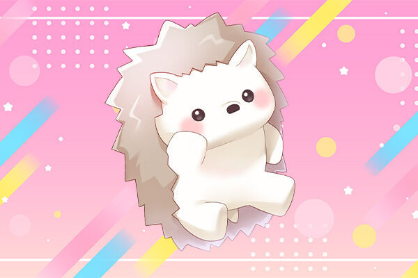 たわしプラン