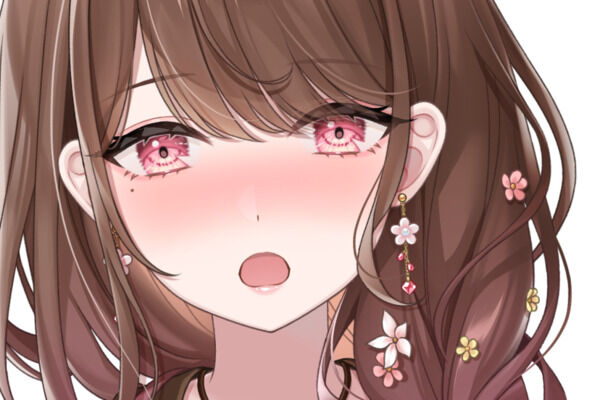 花畑プラン