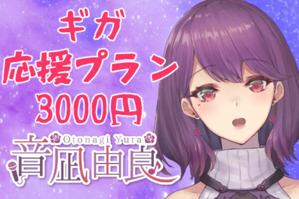 ギガ応援プラン