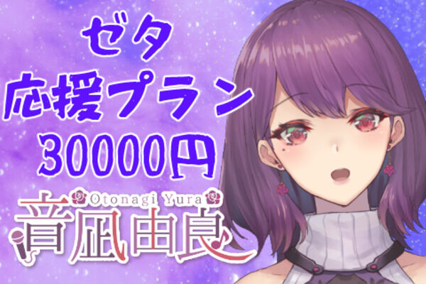 ゼタ応援プラン