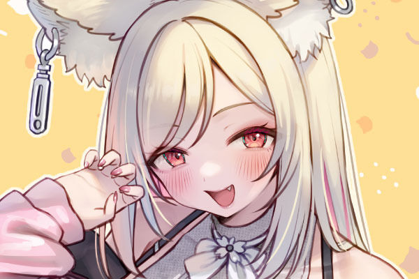 もふもふプラン