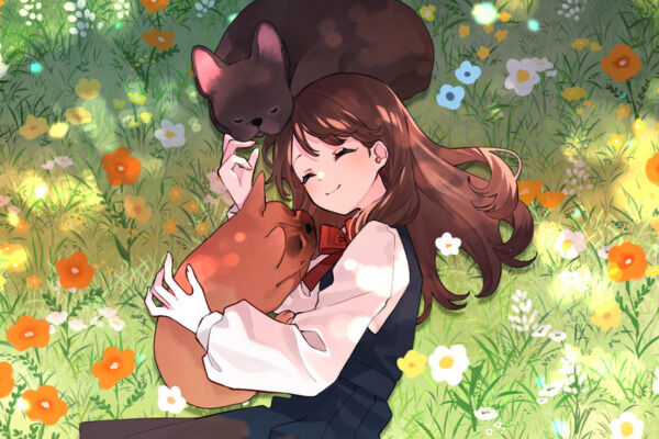 ふたばプラン