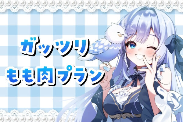 ガッツリもも肉プラン