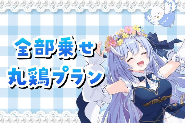全部乗せ丸鶏プラン