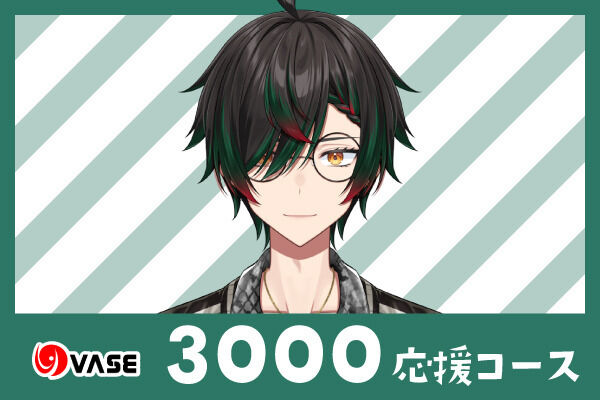 ３０００応援コース