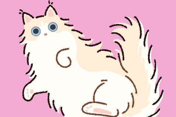 ねこねこアルバム