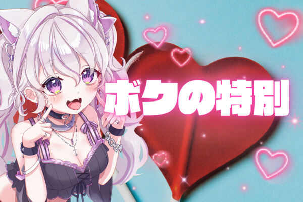 ボクの特別プラン