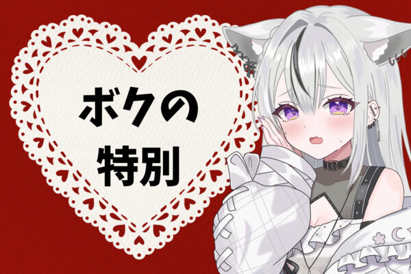 ボクの特別プラン