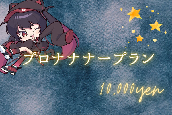 ④プロナナナープラン