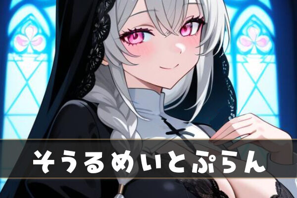 そうるめいとぷらん