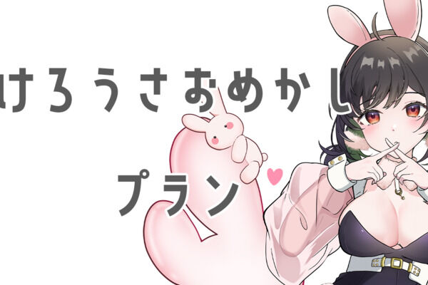 けろうさおめかしプラン