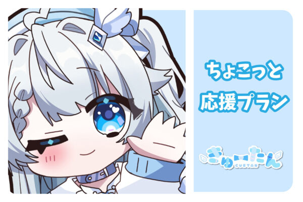 ちょこっと応援プラン