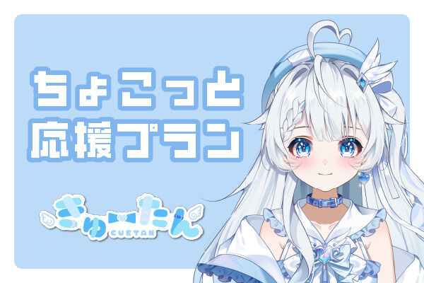 ちょこっと応援プラン