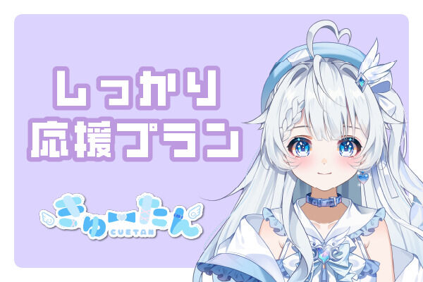 しっかり応援プラン
