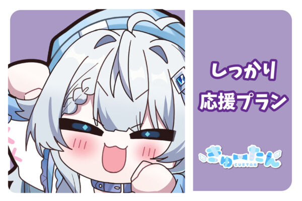 しっかり応援プラン