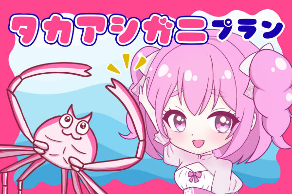 タカアシガニプラン