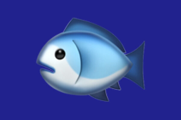 🐟魚釣ってきてやったぞ