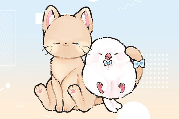 愛を伝える応援プラン