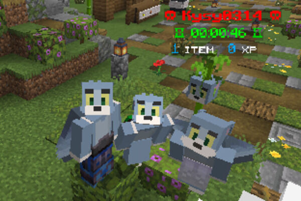 🌱 シードプラン