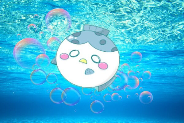 ぷおる？ぷらん