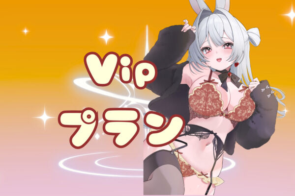 Vipプラン