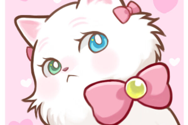 セレブねこプラン