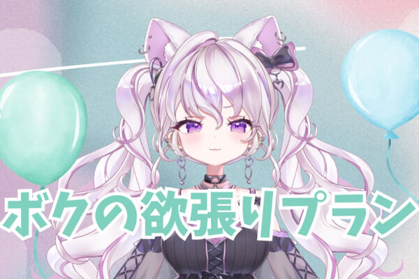ボクの欲張りプラン