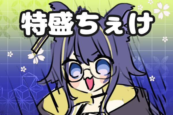 特盛ちぇけプラン
