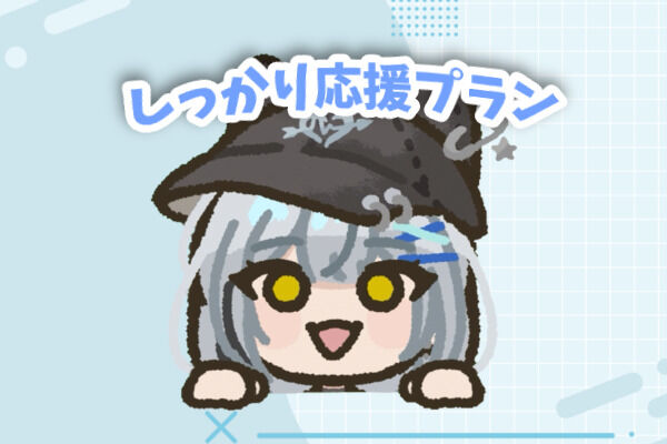 しっかり応援プラン