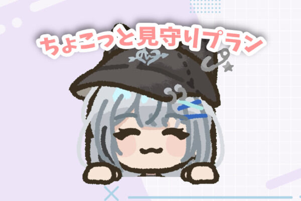 ちょこっと見守りプラン